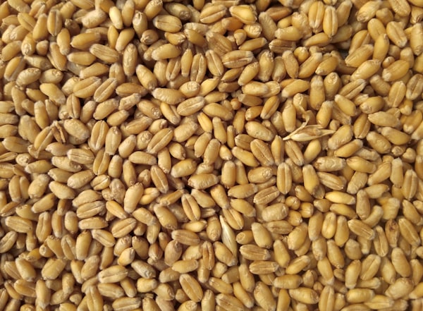 Multifruit Grains & Hububat